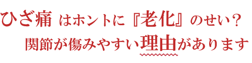 �Ђ��ɂ̓z���g�ɘV���̂���?