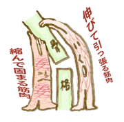 ���i�Ƌؓ��̊֌W