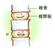 椎間板はクッション