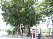 猿田彦大神
